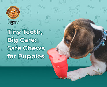 Tiny Teeth, Big Care: Safe Chews for Puppies